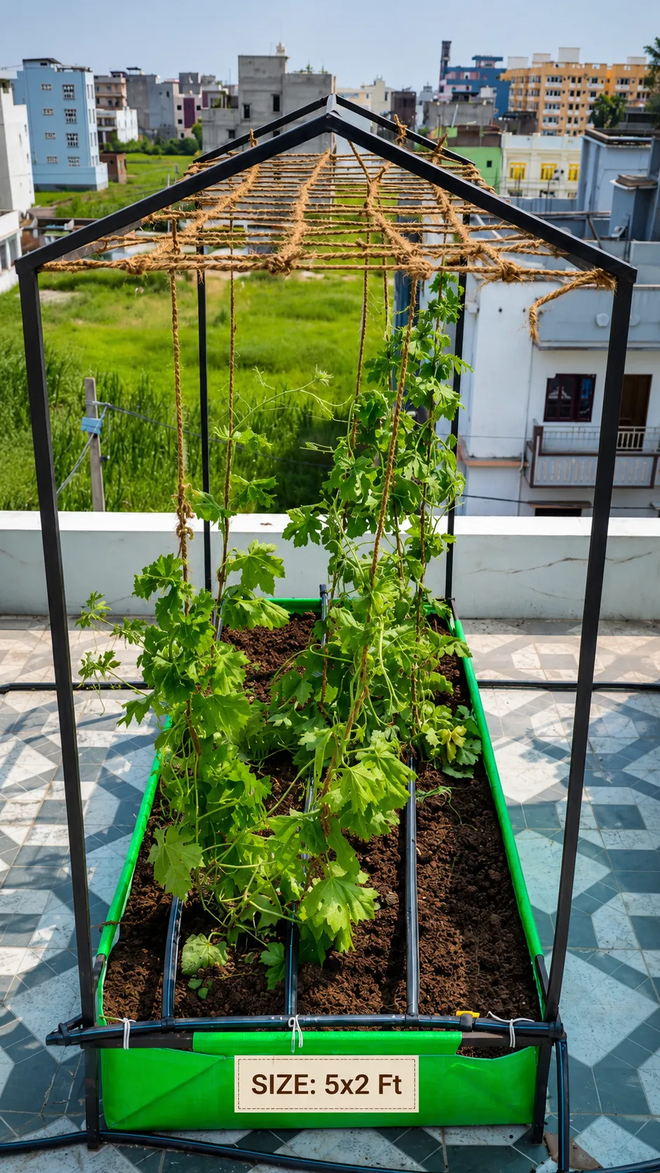 Rooftop Growing Bed by Shraman Organics