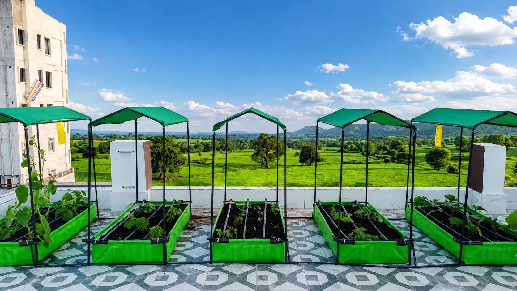 Compact rooftop growing bed 5 by 2 feet