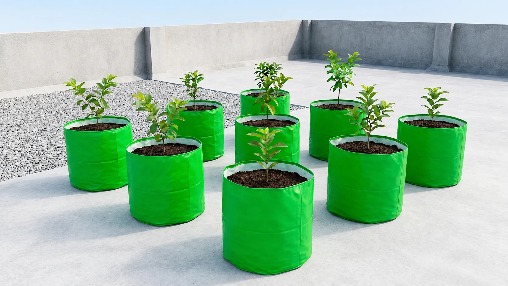 Round green grow bag for fruit plants