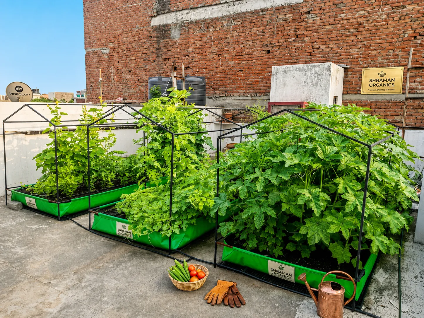 Rooftop growing system 10 by 4 feet