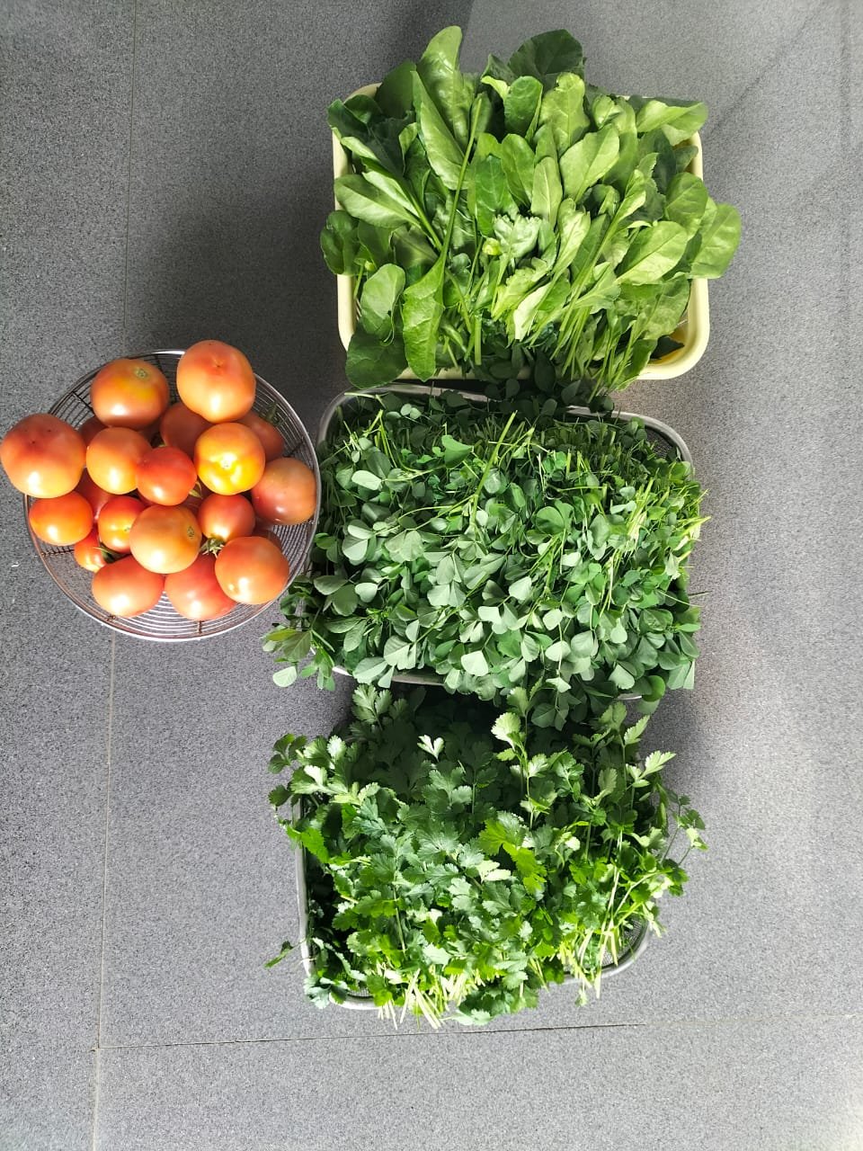 Shraman Organics rooftop project 32